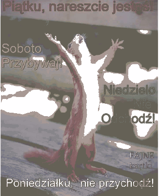 Piątku nareszcie jesteś!